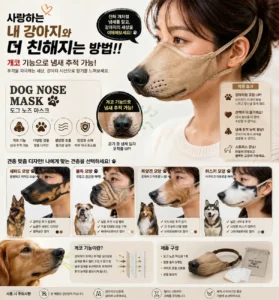 개코기능이라고?